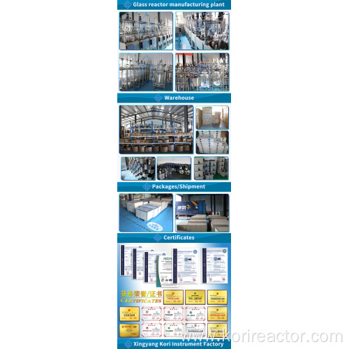 SF-100l double jacketed glass reactor